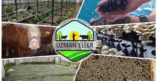 Uzman Eller Projesinde Hibe Tutarı 250 Bin Liraya Çıkarıldı