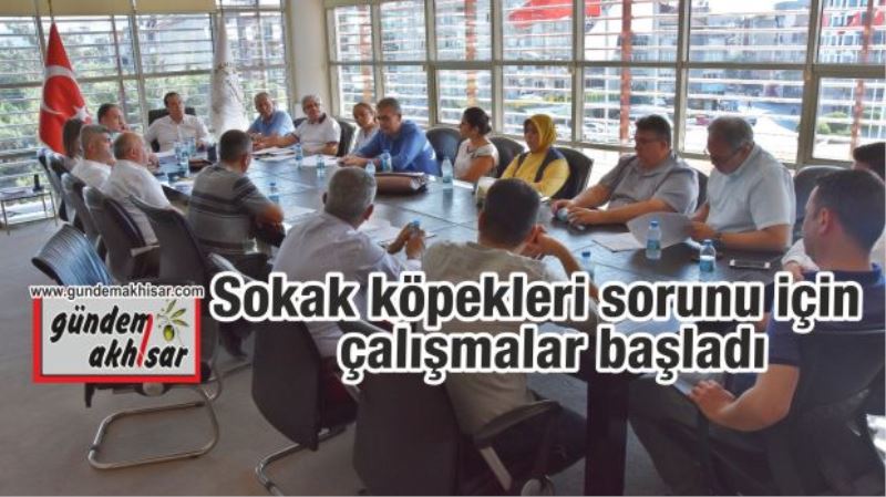 Sokak köpekleri sorunu için çalışmalar başladı