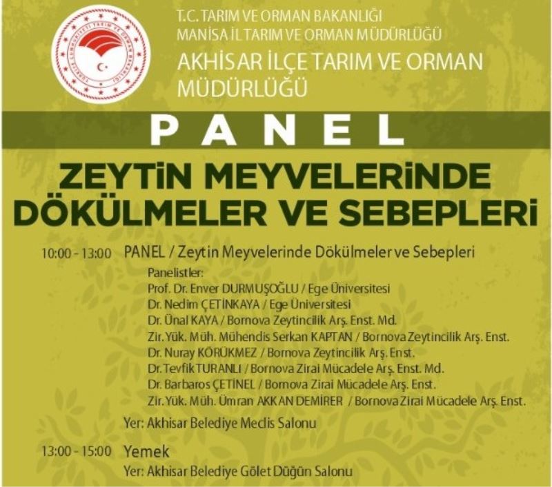 ZEYTİN MEYVELERİNDE DÖKÜLMELER VE SEBEPLERİ