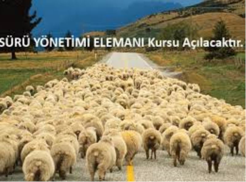 HALK EĞİTİMİ MERKEZİ SÜRÜ YÖNETİM ELEMANI KURSU BAŞLIYOR