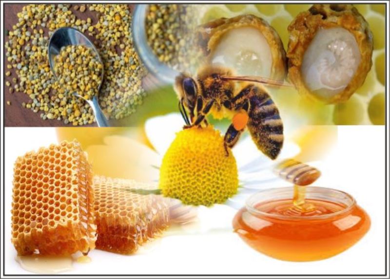 Arı Ürünlerinin Sağlık İçin Önemi