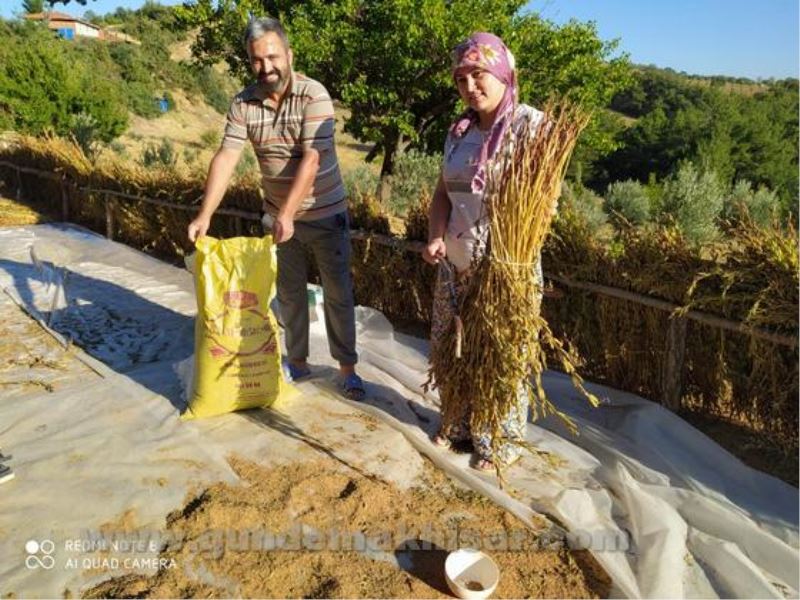 TARIMDA YARI ZAMANLI ÜRETİM REVAÇTA…