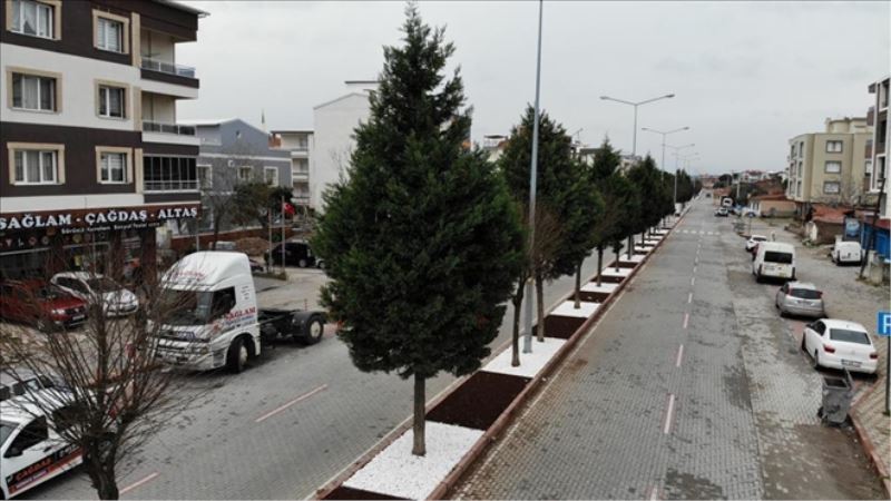 RİNG YOLU PEYZAJ ÇALIŞMASIYLA TAÇLANDI