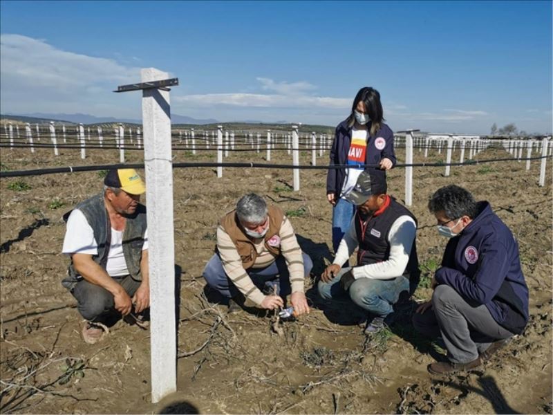 TARIMDA 2021 ÜRETİM SEZONU SAHA ÇALIŞMALARI BAŞLADI