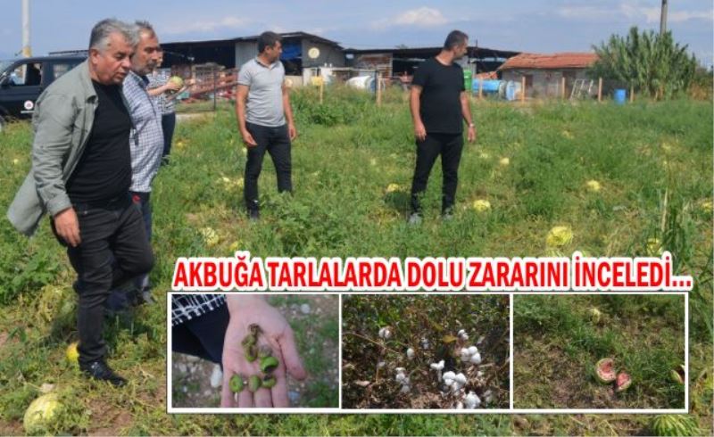 Akbuğa “yaşanan dolu afeti büyük bir maddi kayıba neden olmuştur.”